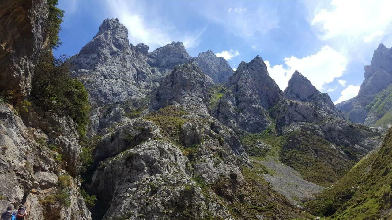 Viviendas De Uso Turistico La Arboleda I Y II Colombres Eksteriør bilde