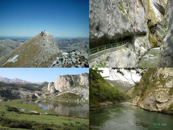Viviendas De Uso Turistico La Arboleda I Y II Colombres Eksteriør bilde